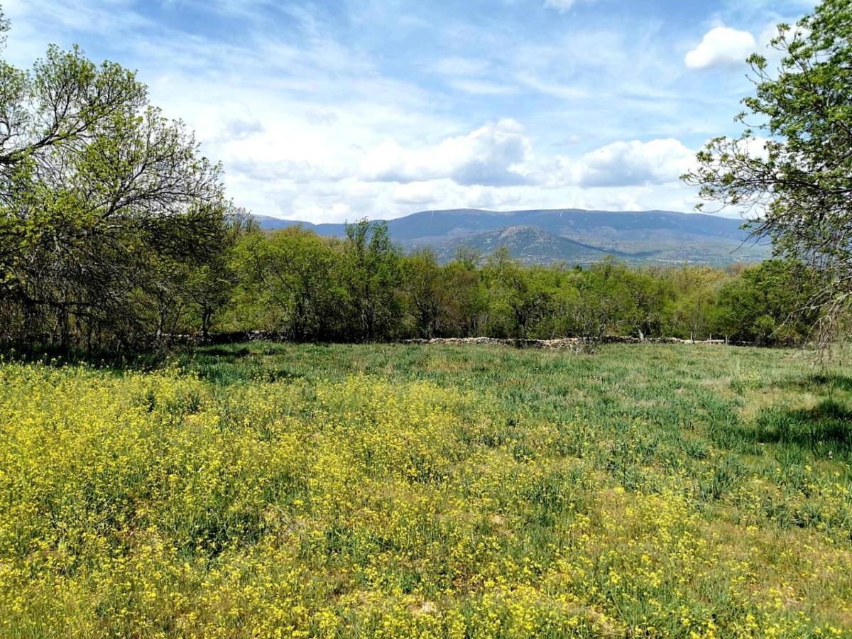 Garganta De Los Montes Acogedora Y Romantica Casita En La Sierra المظهر الخارجي الصورة