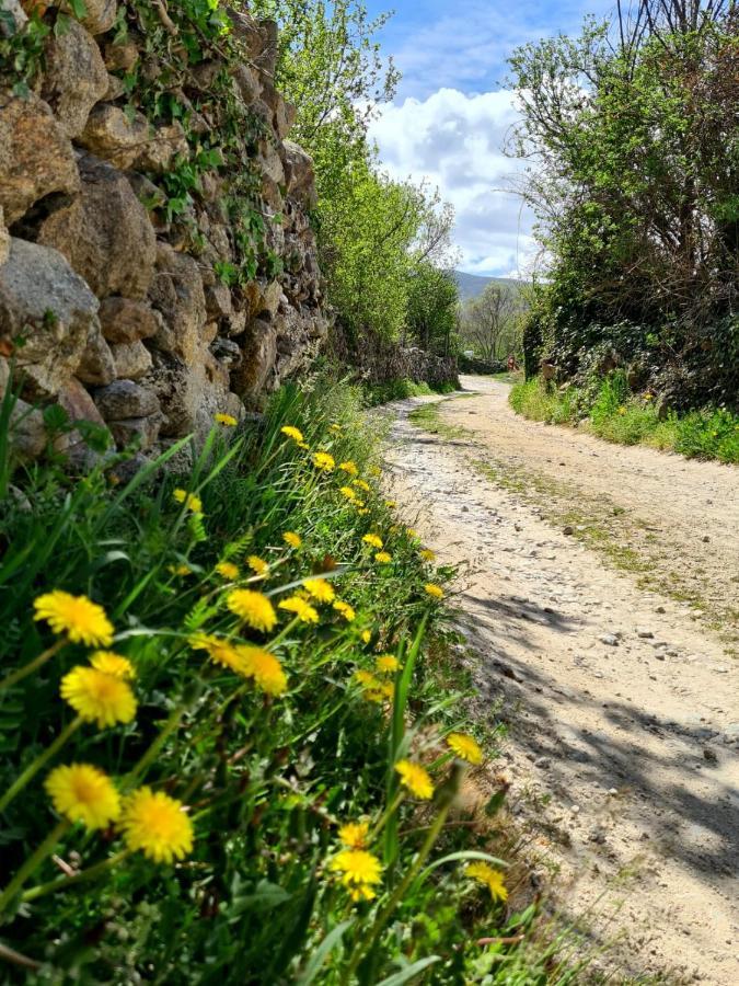 Garganta De Los Montes Acogedora Y Romantica Casita En La Sierra المظهر الخارجي الصورة